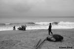 Africa-Togo-Fishing_at_Aneho.jpg